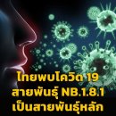 [태국 뉴스] 6월 5일 정치, 경제, 사회, 문화 이미지