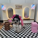 복순살롱