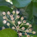 안골농장 이미지