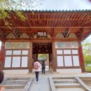 보디가드문경점 | 김천 직지사 대웅전 천정 반가사유상 수미단을 보고와서