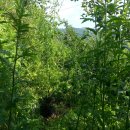 조아농장 이미지