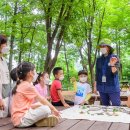 계남 유아숲체험원 이미지