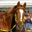 태평목장 이미지