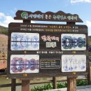 사계향기