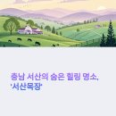 충남 서산의 숨은 힐링 명소, ‘서산목장’에서 걷는 여행의 즐거움
