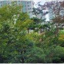 정성부동산중개 이미지