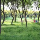 행정사 박종선 사무소 이미지