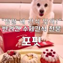 포핏 | 강아지 수제간식 포핏 생일케이크 미니구겔호프 댕댕이 수제베이커리