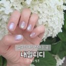 압구정로데오 네일샵 내일디디 자석네일 후기 ✨ 오묘한 여름 컬러에 반해버림