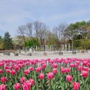 화목원 | [공지] 강원도립화목원 튤립 봄여행 추천 | 춘천가볼만한곳 강원생활도민증 후기