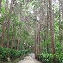 구덕산책로 숲길 이미지