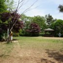 서봉산산림욕장 이미지