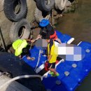 표선달채 이미지