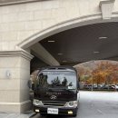 비발디파크사우나 | [소노펫 홍천] 홍천 비발디파크 소노펠리체 사우나 솔직후기(위치, 운영시간, 셔틀버스 정보)