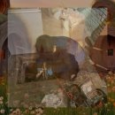 권선구 서둔동 | 권선구 하수구역류 생생후기 곡선동 서둔동 변기막힘 복합진단