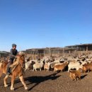 에덴목장 이미지