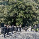 서귀포예술단 이미지