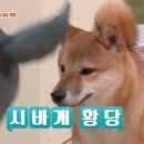 같이 네이버블로그