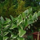 늘푸름농장 이미지