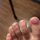 더숲(the 숲) 이미지