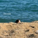 준성베이커리 | 10월 11월 스페인여행 바르셀로나 포르투갈 바르셀로네타 해변