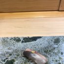 텐메이 - 연수구 센트럴로 160 | 텐메이
