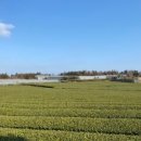 대영사진관 이미지