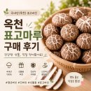 버섯마루 | [옥천표고마루] 국내산 표고버섯 후기｜향부터 남다른 건표고💛