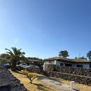 제주스테이 | 애월 숙소 내 기준 1등! 제주 스테이온 독채 내돈내산 숙박 후기