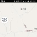 굿베리팜