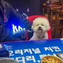 [부천/중동] 신중동 야장거리 치맥 로컬맛집 &#34;보드람치킨중동점&#34; 반려동물동반입장가능