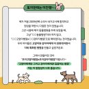 조이고양이병원x조이강아지병원