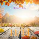 금(李)보석 | 11월 14일 헤드라인 뉴스