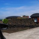 눈먼고래 이미지