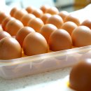 안일농장 이미지