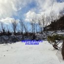 부곡리부동산공인중개사사무소 이미지