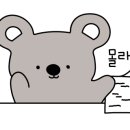 바르다 펫 부산센텀점 네이버블로그