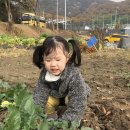 연준농장 이미지