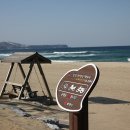 망상오토캠핑리조트 이미지