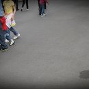 그루밍쇼 이미지