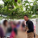 정일농장 이미지