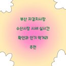 부산 자갈치시장 수산시장 시세 실시간 확인과 인기 먹거리 추천