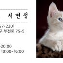 레푸스서면점 이미지