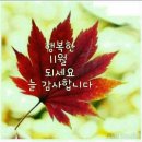 언제나;예쁘다 이미지