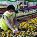 백양산 양묘장 이미지