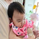 리베 어린이집 | 안산,시흥 정왕동 베이비스튜디오 [리베스튜디오] - 내돈내산 아기 돌사진 리얼 촬영 후기