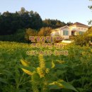 영국부동산공인중개사사무소 이미지