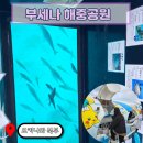 중부-현장-중부-905 | 오키나와 부세나 해중공원 글라스보트 전망대 입장권 할인 방법