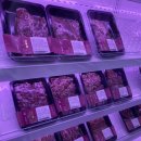 양지-3120 이미지