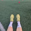 선희통닭 | 물복의계절 또리일기